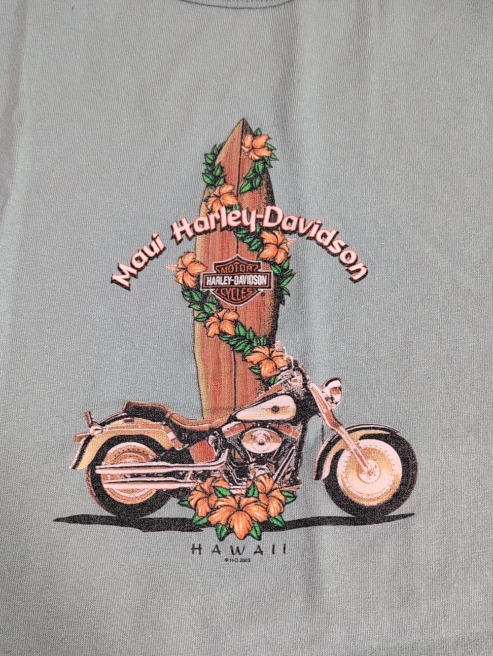 Harley-Davidson Maui Hawaii T-shirt, Size Large, 100% Cotton, See Description